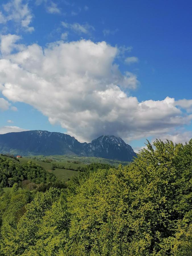 Villa Conacul Elenei à Poiana Mărului Extérieur photo