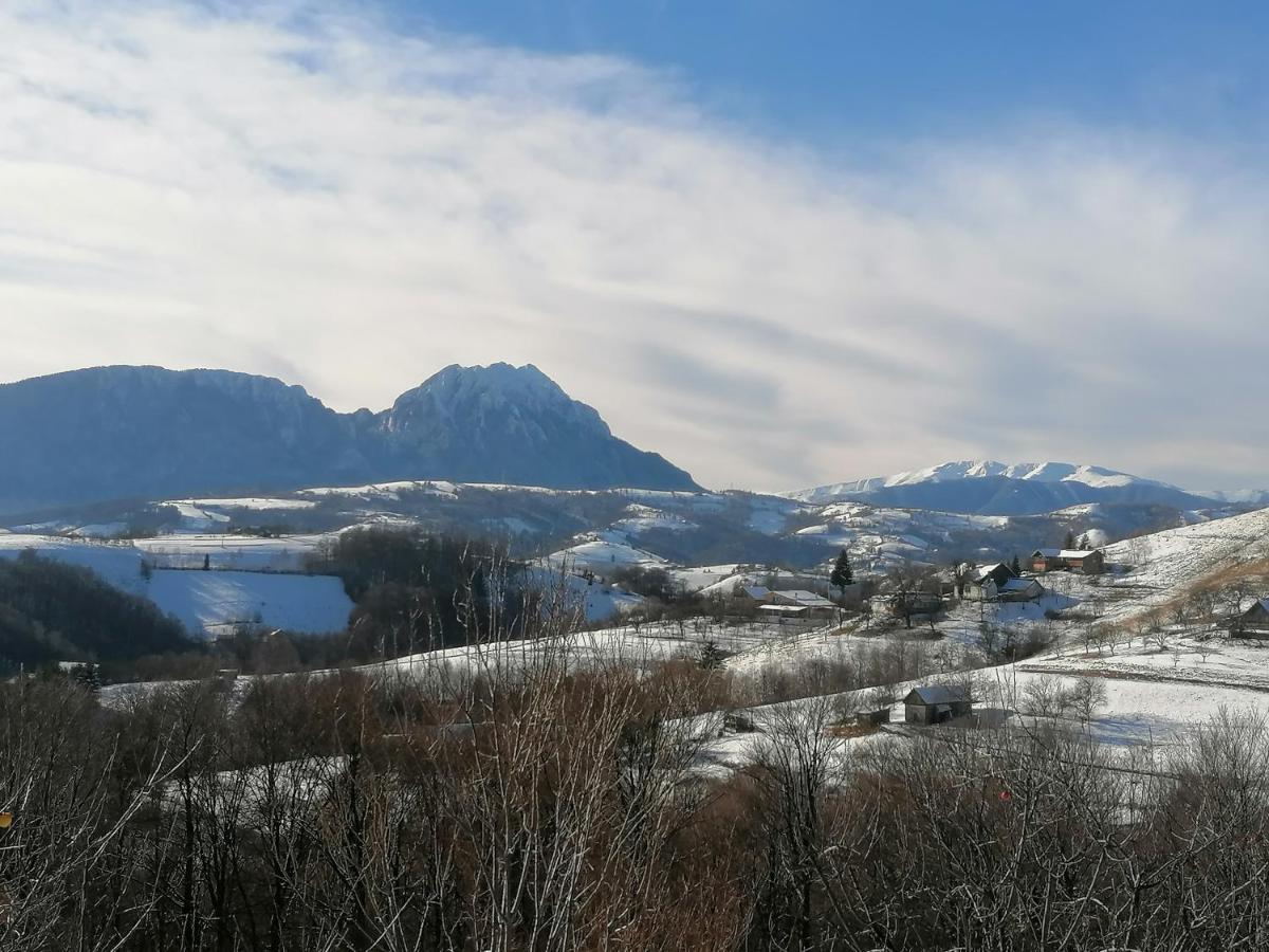 Villa Conacul Elenei à Poiana Mărului Extérieur photo