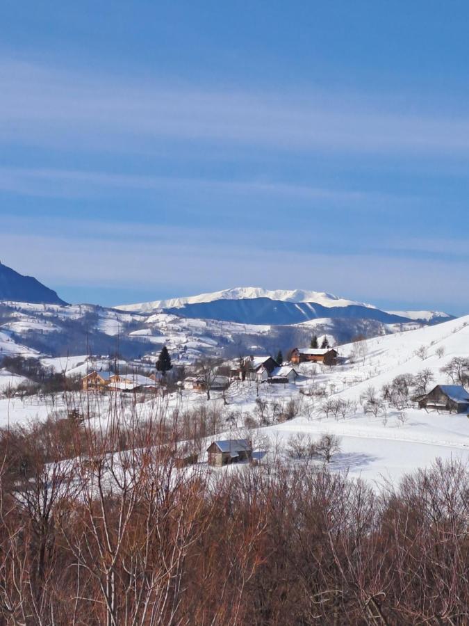 Villa Conacul Elenei à Poiana Mărului Extérieur photo